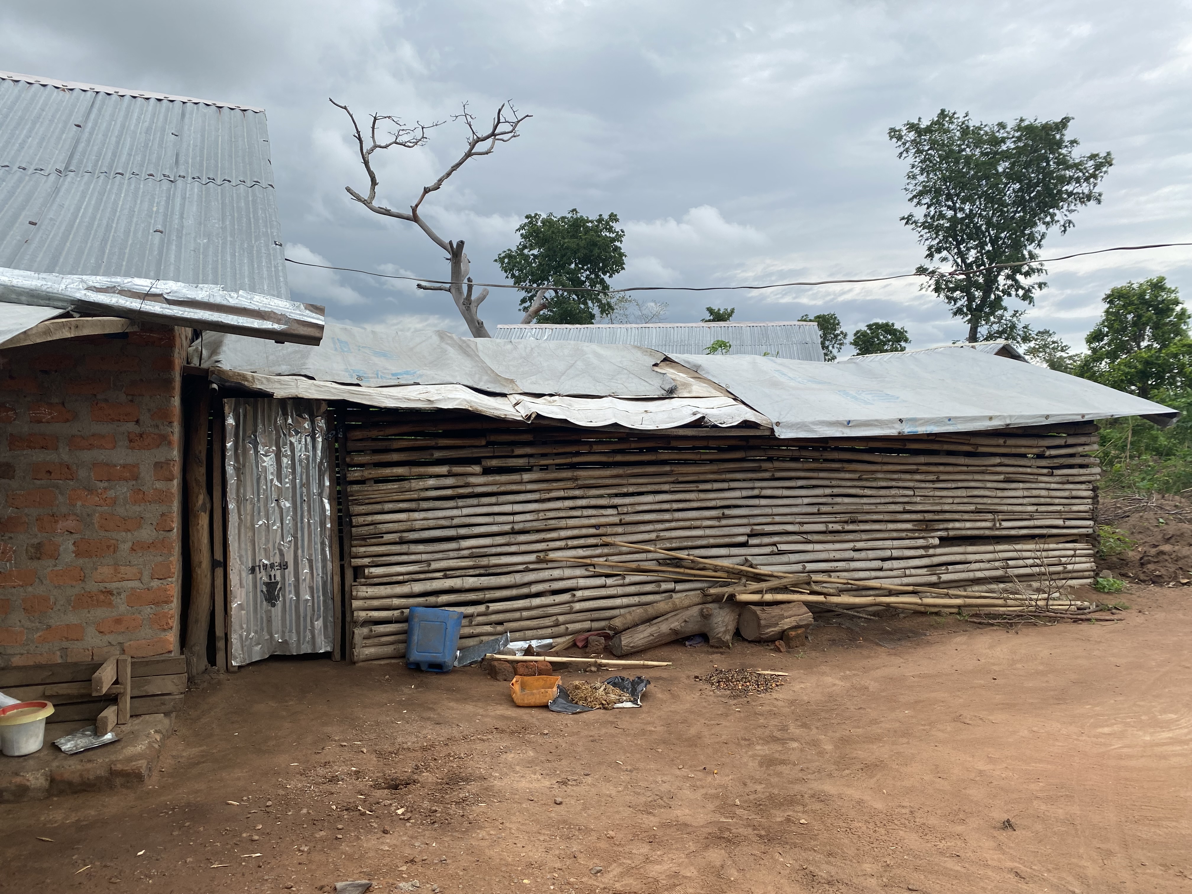 Cash feasibility for shelter response in Cameroon