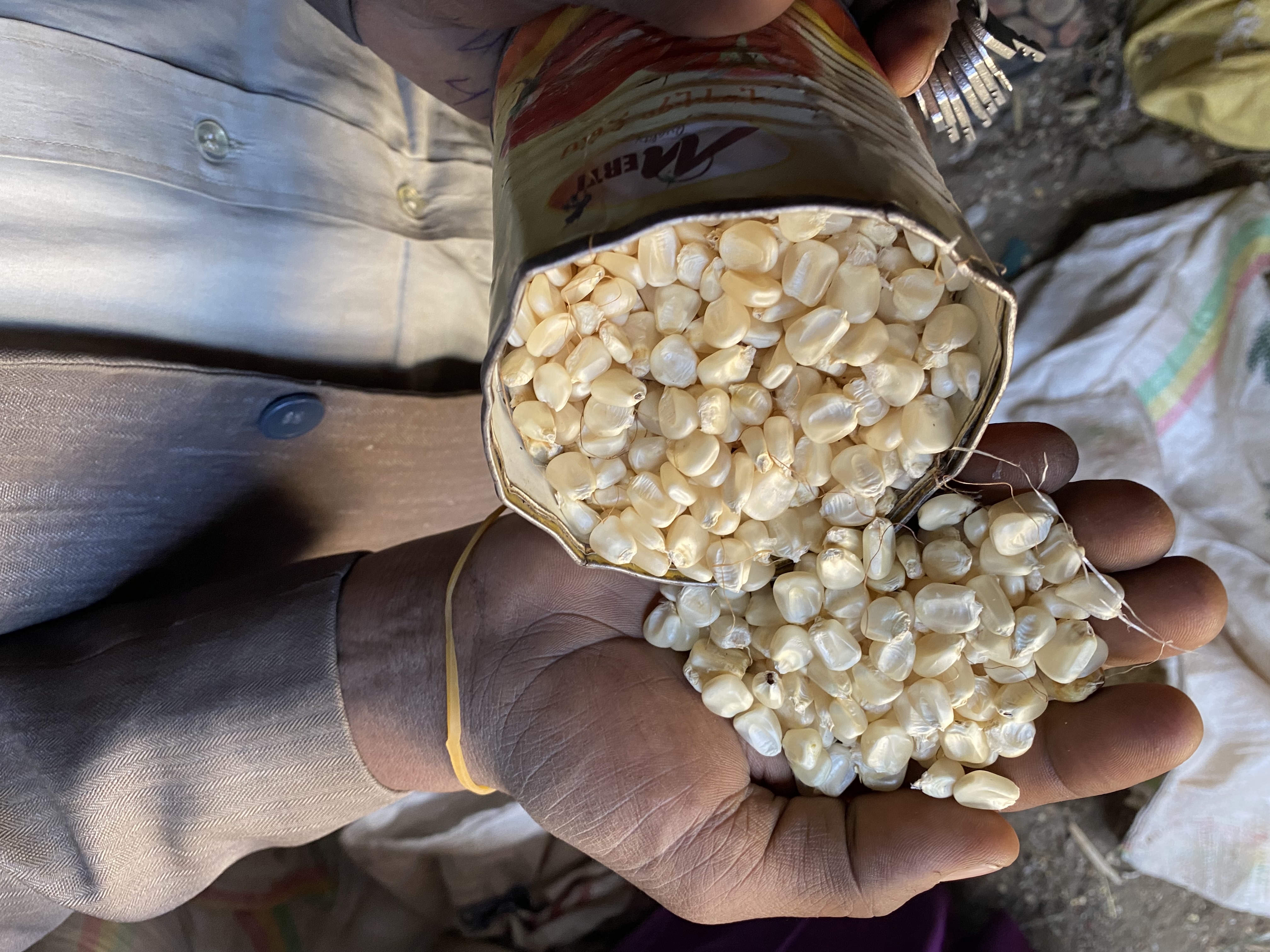 Forecasting food prices<br>Ethiopia