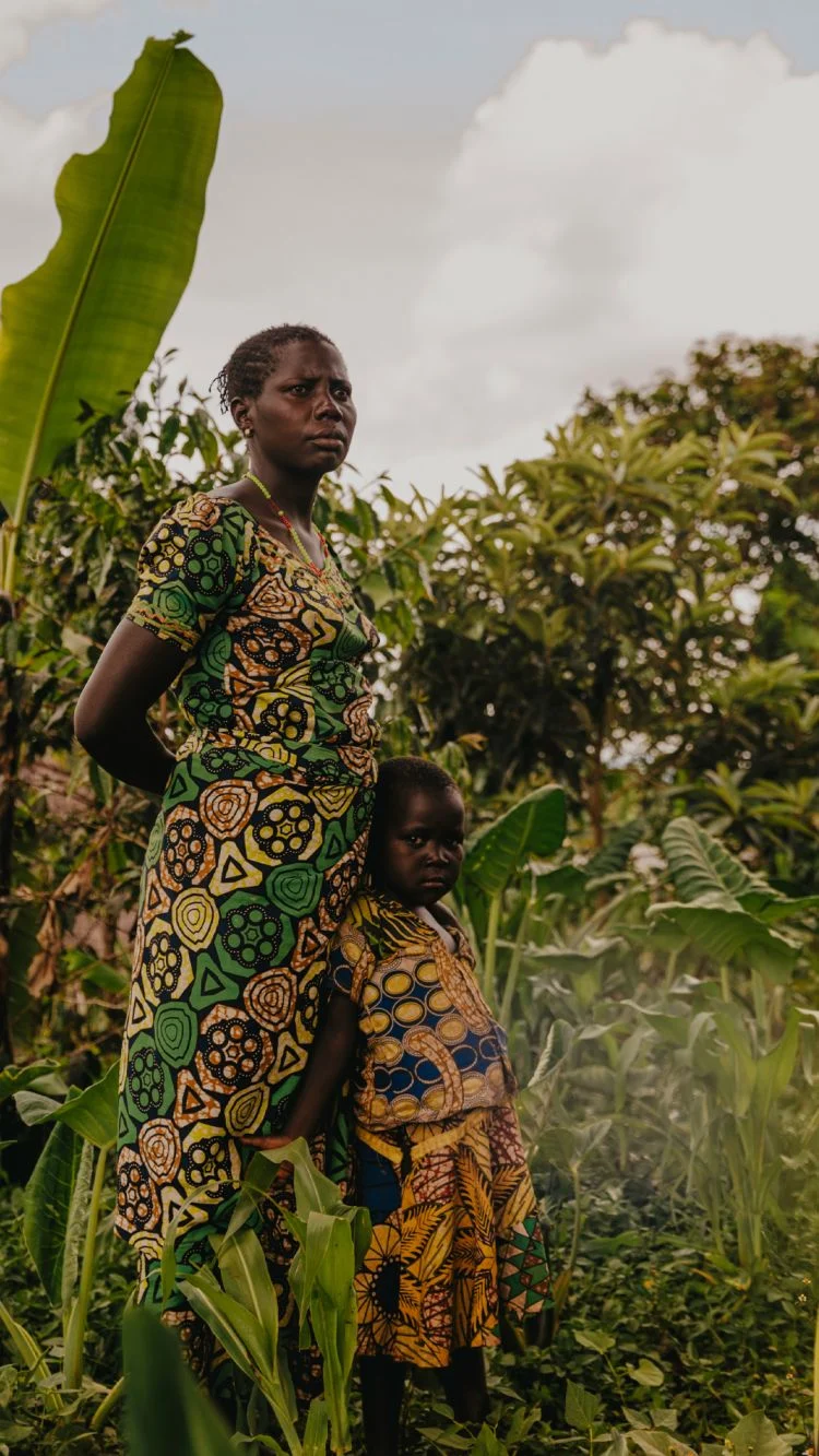 Strategic evaluation of IDMC<br>Global